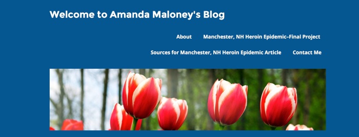 Amanda Blog